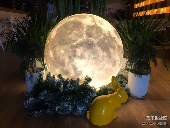 静物之美——玩偶
