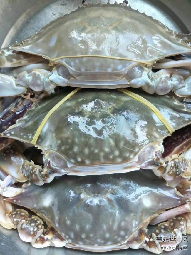 【暑期日常分享】