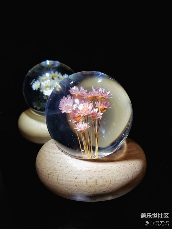 【北京星部落】#静物之美——每个八音盒，都是一个绮丽的梦