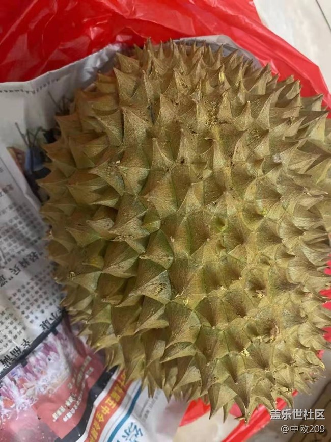 【暑期日常分享】