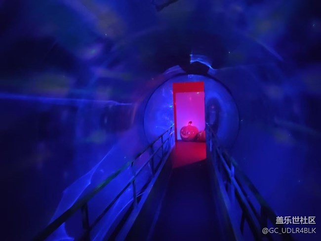 【暑期游玩分享】