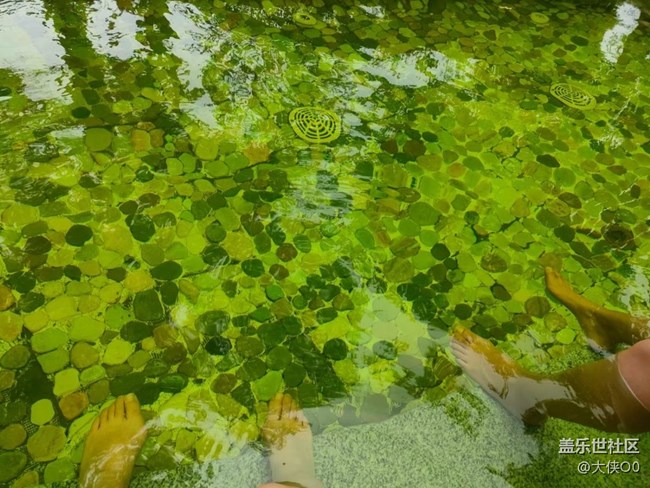 【暑期日常分享】