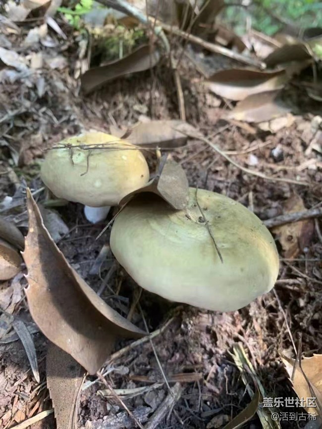 【暑期日常分享】