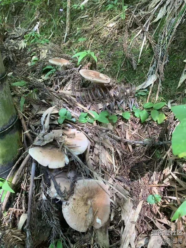 【暑期日常分享】