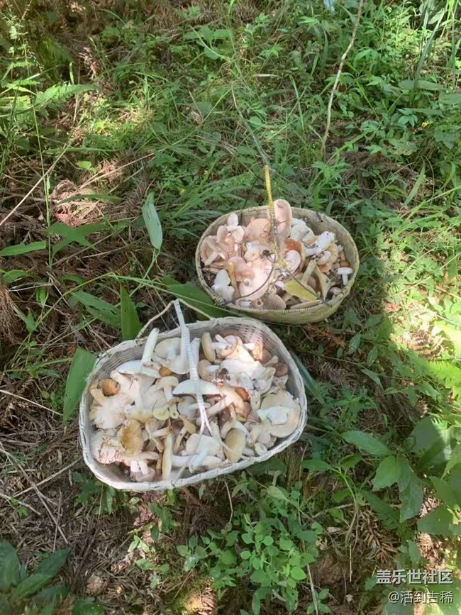 【暑期日常分享】