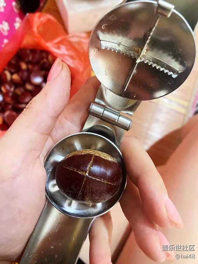 【暑期日常分享】