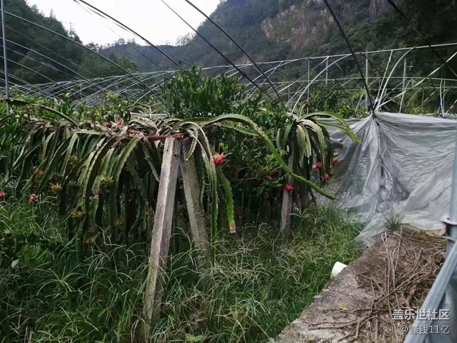 【暑期日常分享】