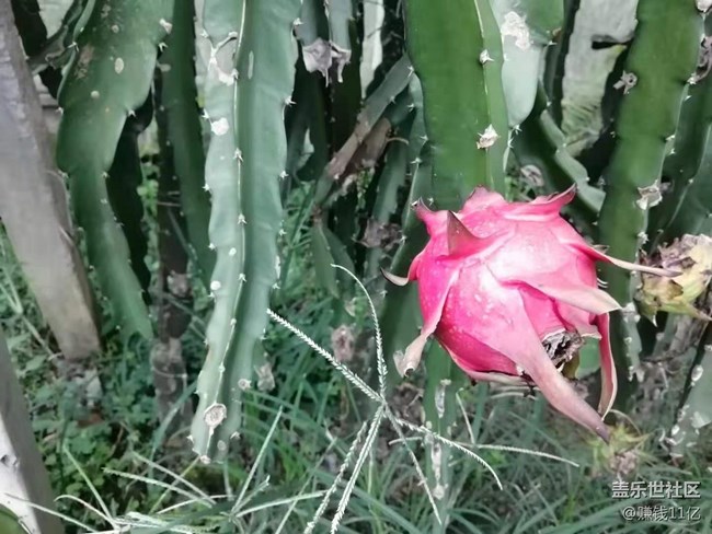 【暑期日常分享】