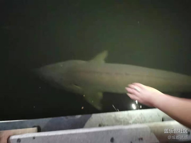 【暑期游玩分享】