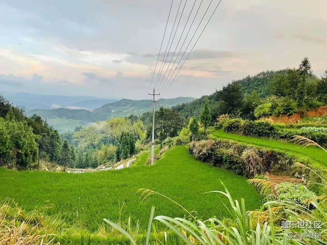 【暑期日常分享】