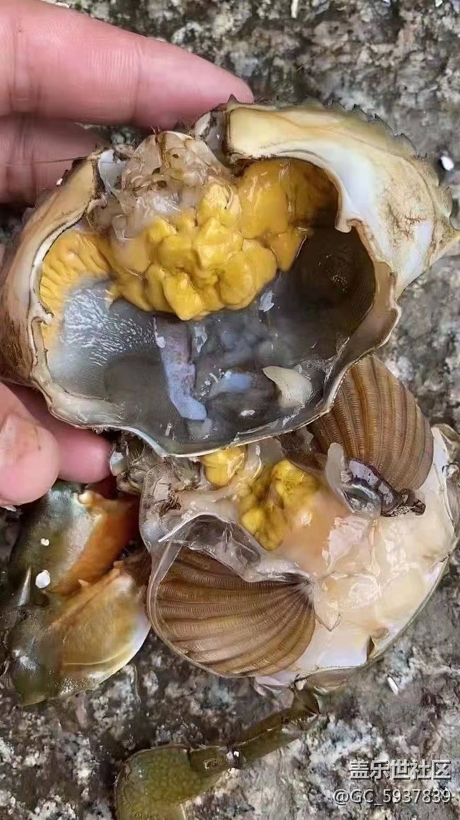 【暑期日常分享】