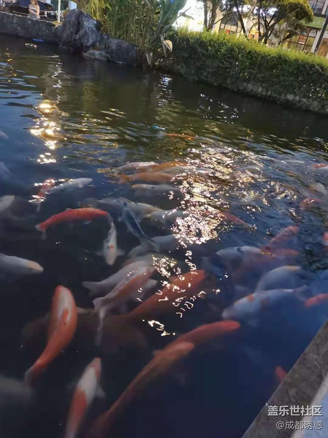 【暑期游玩分享】