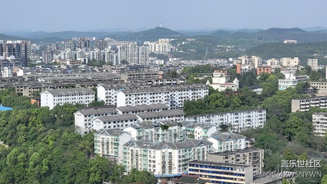 S21U的相机总体来说没啥毛病