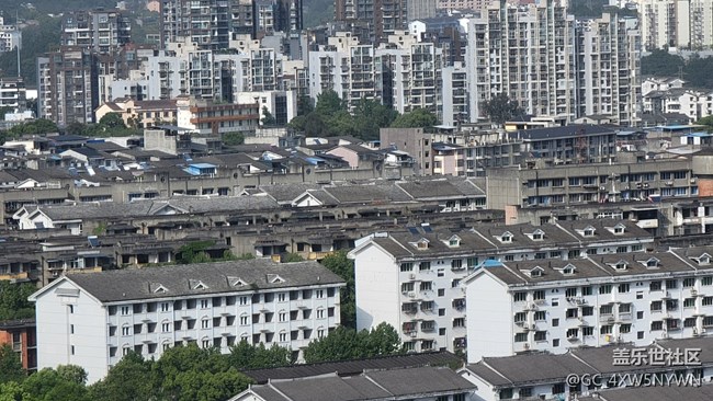 S21U的相机总体来说没啥毛病