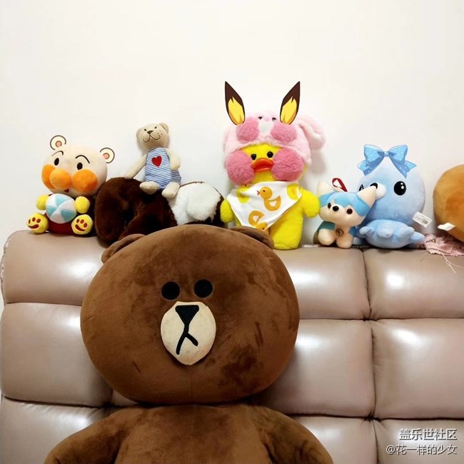 【家中小景】一些可爱的熊熊
