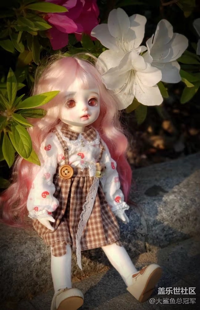 #初秋时节-美轮美奂，秋意盎然的景象