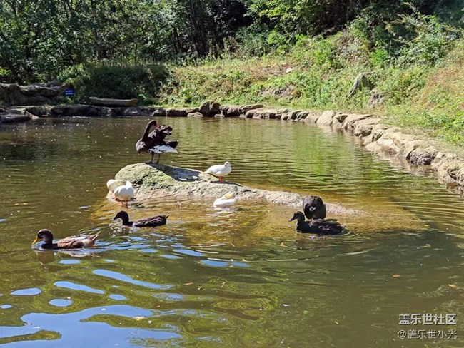 沈阳星部落畅游大冰沟暨摄影活动