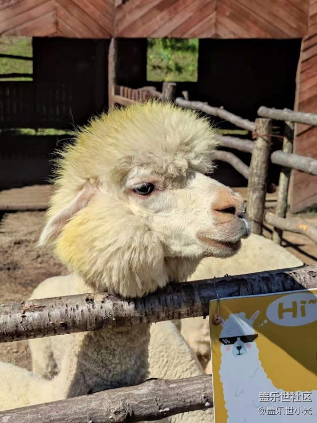 沈阳星部落畅游大冰沟暨摄影活动