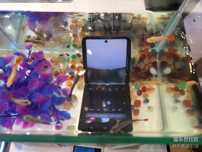 #三星快闪店打卡  西安星部落 Galaxy Z fold3＆Flip3 品鉴会