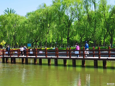 已开奖【盖乐世影像周赛第209期】——旅行志