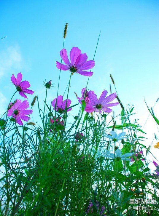 #初秋时节——秋天了来
