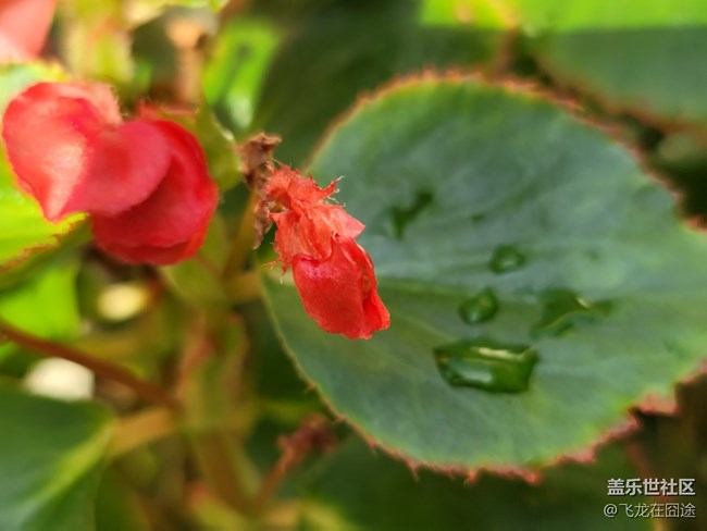 #初秋时节——雨后