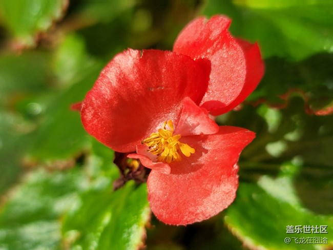 #初秋时节——雨后