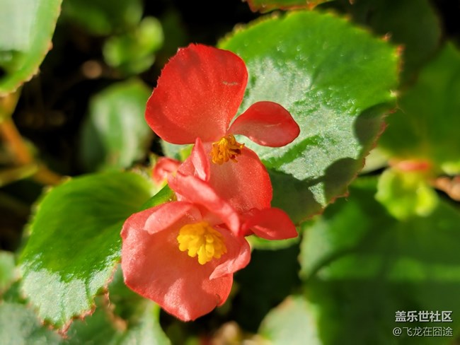 #初秋时节——雨后