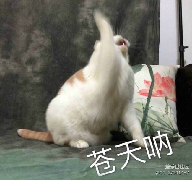 球球了 星钻直接兑换字体好不好٩(๑•ㅂ•)۶