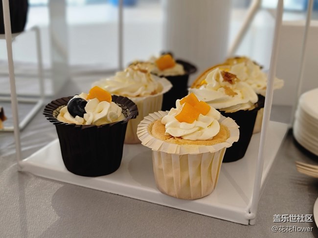 Galaxy Z Fold3| Flip3 5G品鉴会-上海站