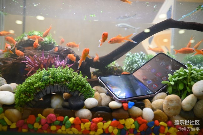 Galaxy Z Fold3| Flip3 5G品鉴会-北京站 回顾