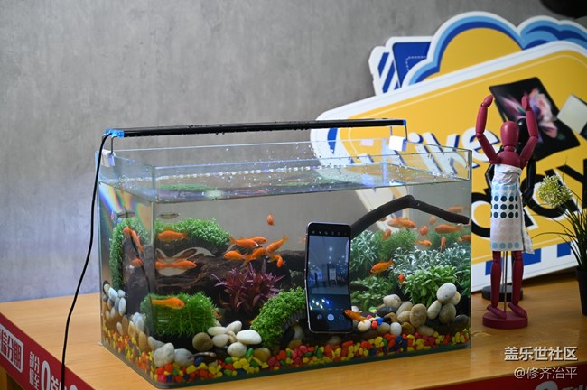 Galaxy Z Fold3| Flip3 5G品鉴会-北京站 回顾