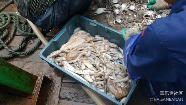 【国庆游记分享】