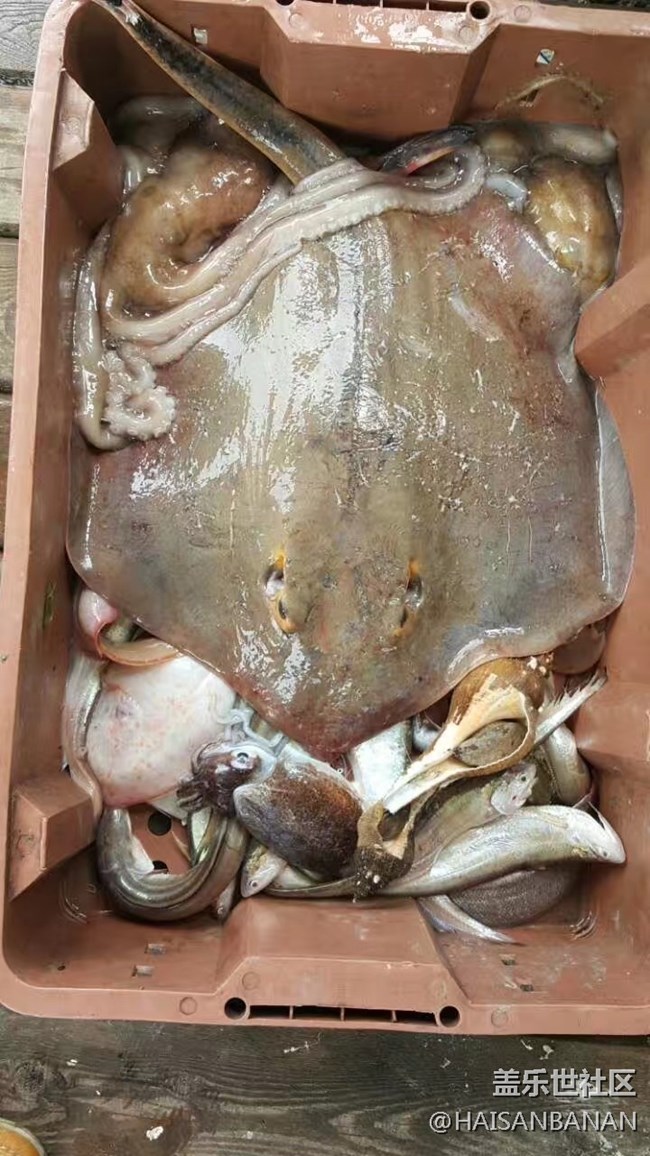 【国庆游记分享】