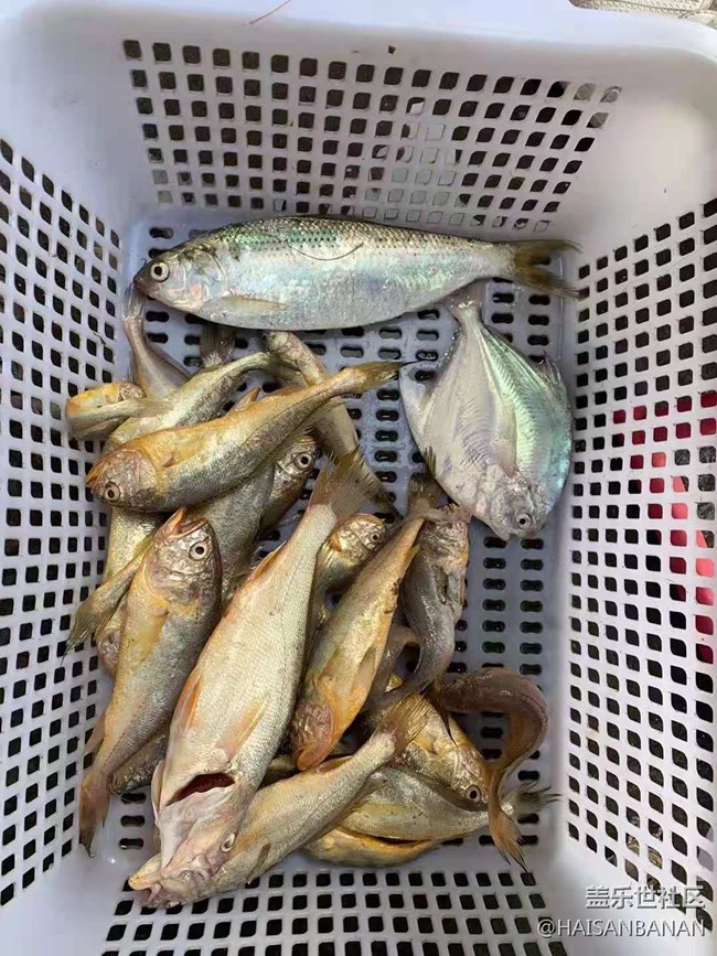 【国庆游记分享】