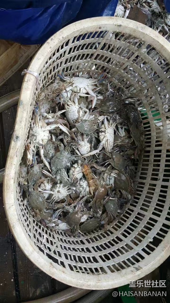 【国庆游记分享】