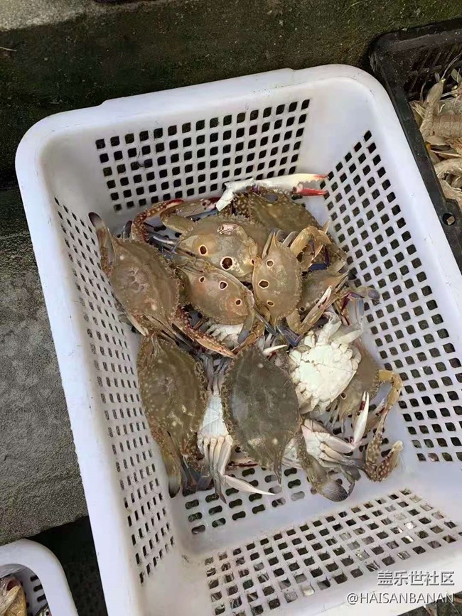 【国庆游记分享】