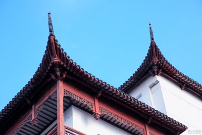 【发现美的眼睛】+S21U记录身边美好
