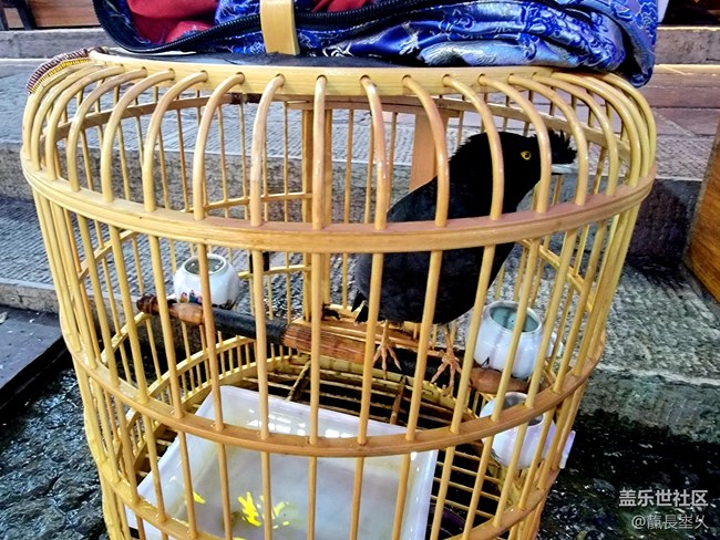 【国庆游记分享】溪布街