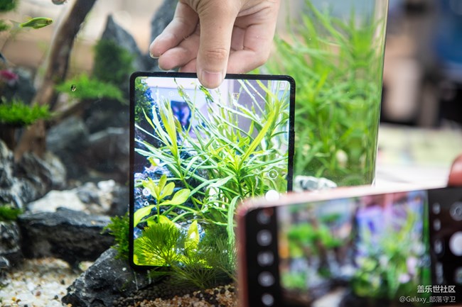 Galaxy Z Fold3|Flip3 5G品鉴会广州站圆满结束