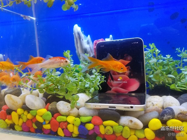 三星盖乐世社区Z Fold 3 Flip3官方品鉴会——济南站活动回顾