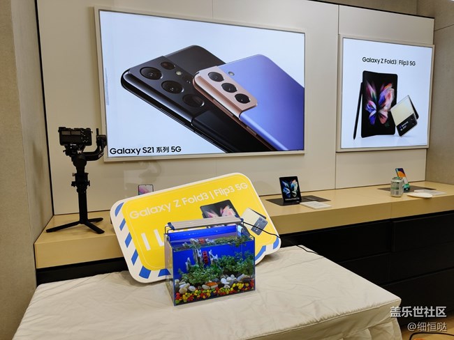 三星盖乐世社区Z Fold 3 Flip3官方品鉴会——济南站活动回顾