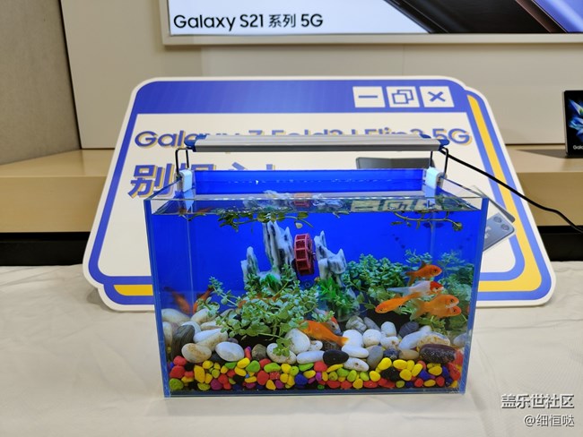 三星盖乐世社区Z Fold 3 Flip3官方品鉴会——济南站活动回顾