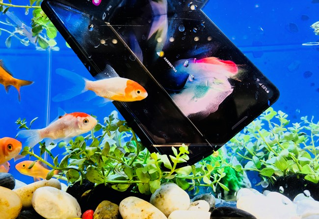 Galaxy Z Fold3|Flip3 5G品鉴会-济南站圆满结束