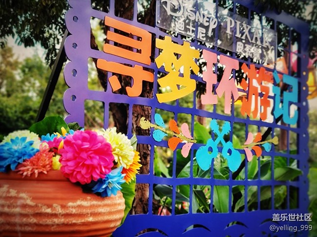 #假日随拍——快乐的时光