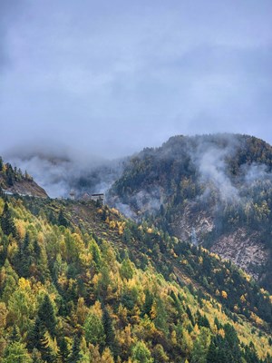 【形影不离】+一路风景