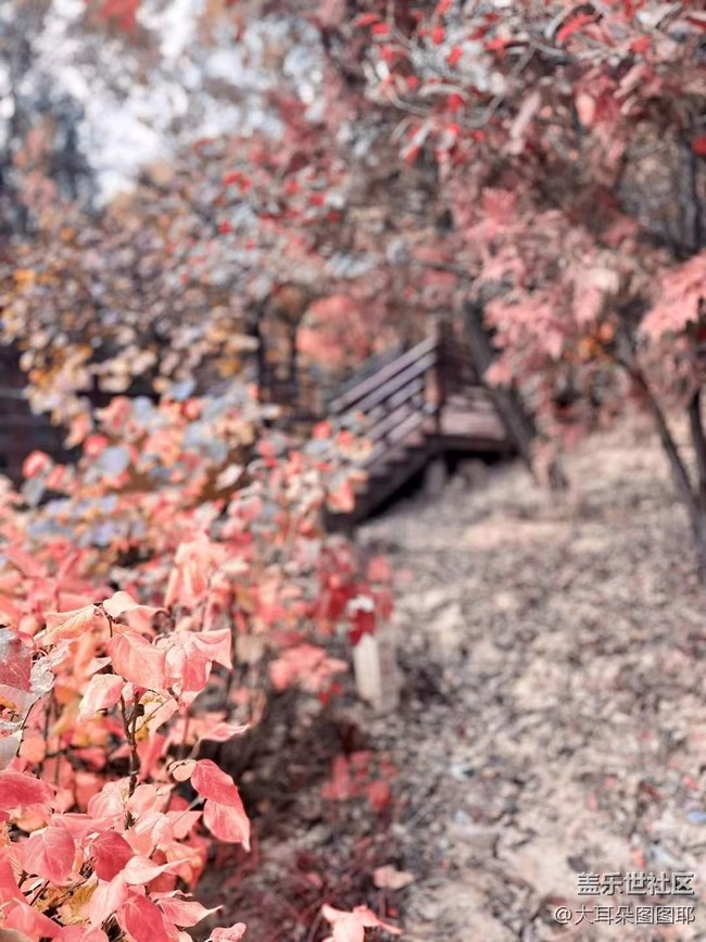 #holiday——八大处