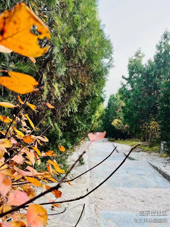 #holiday——八大处