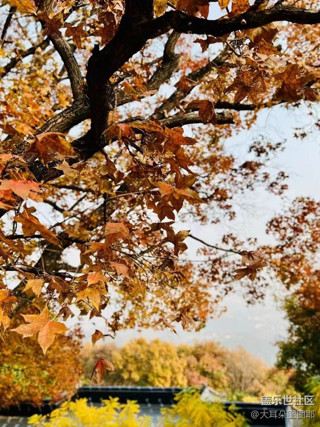 #holiday——八大处