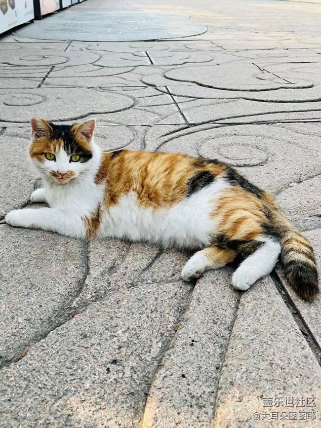 #holiday——八大处